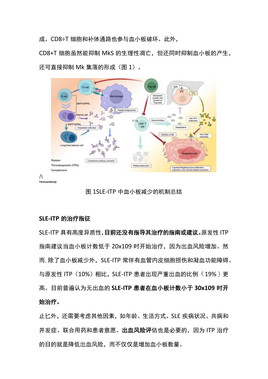 狼疮并发免疫性血小板减少症治疗建议（全文）.docx_第2页