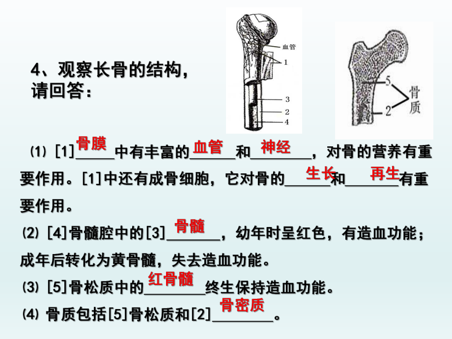 第一节动物的运动第三课时9月14日精品教育.ppt_第3页