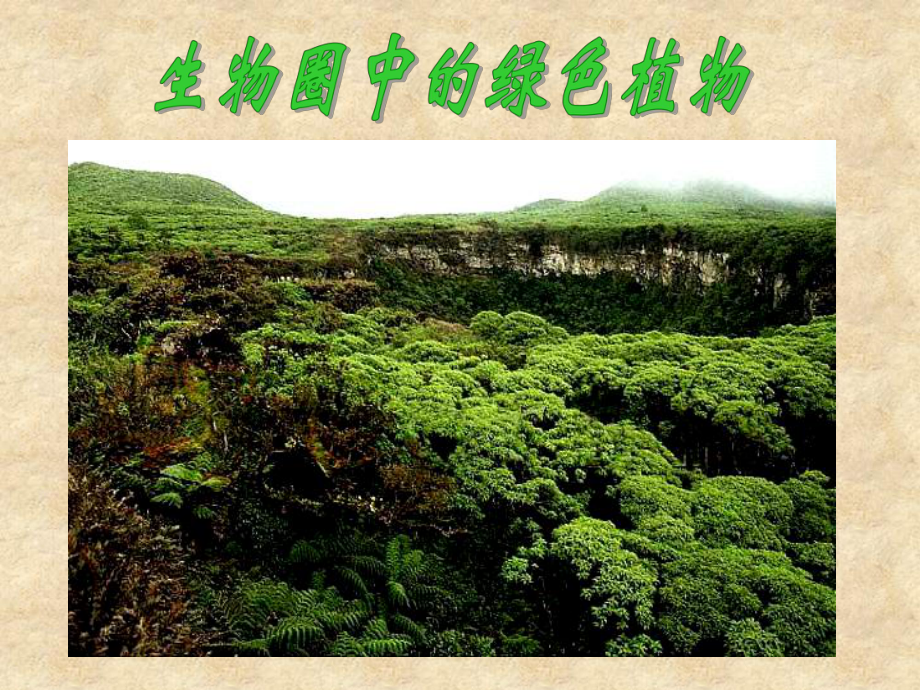 第一节藻类苔藓和蕨类植物课件 精品教育.ppt_第1页