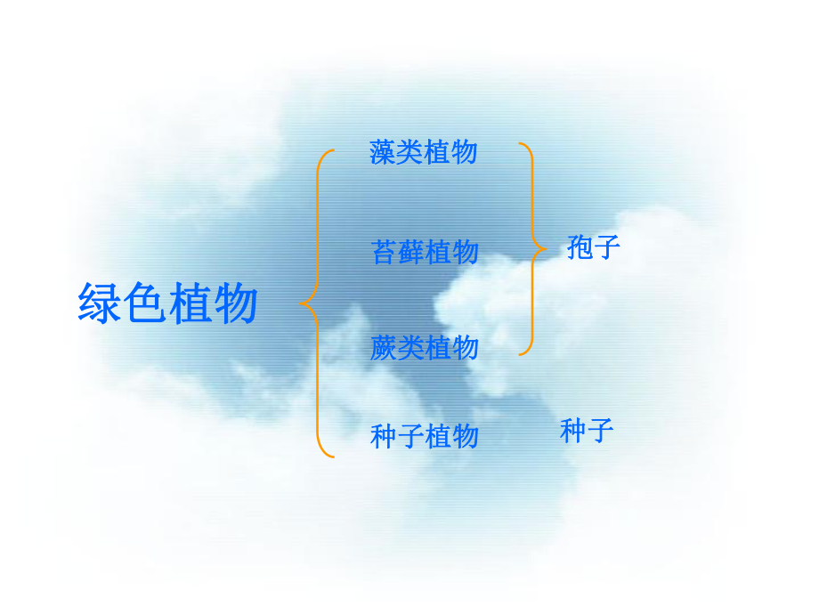 第一节藻类苔藓和蕨类植物课件 精品教育.ppt_第3页