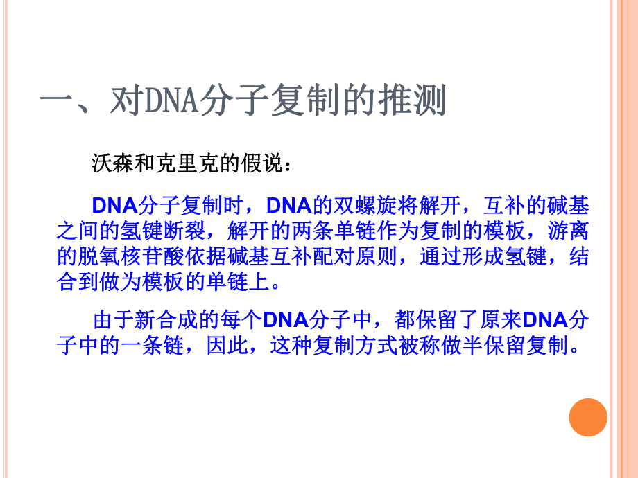第三节DNA的复制精品教育.ppt_第2页