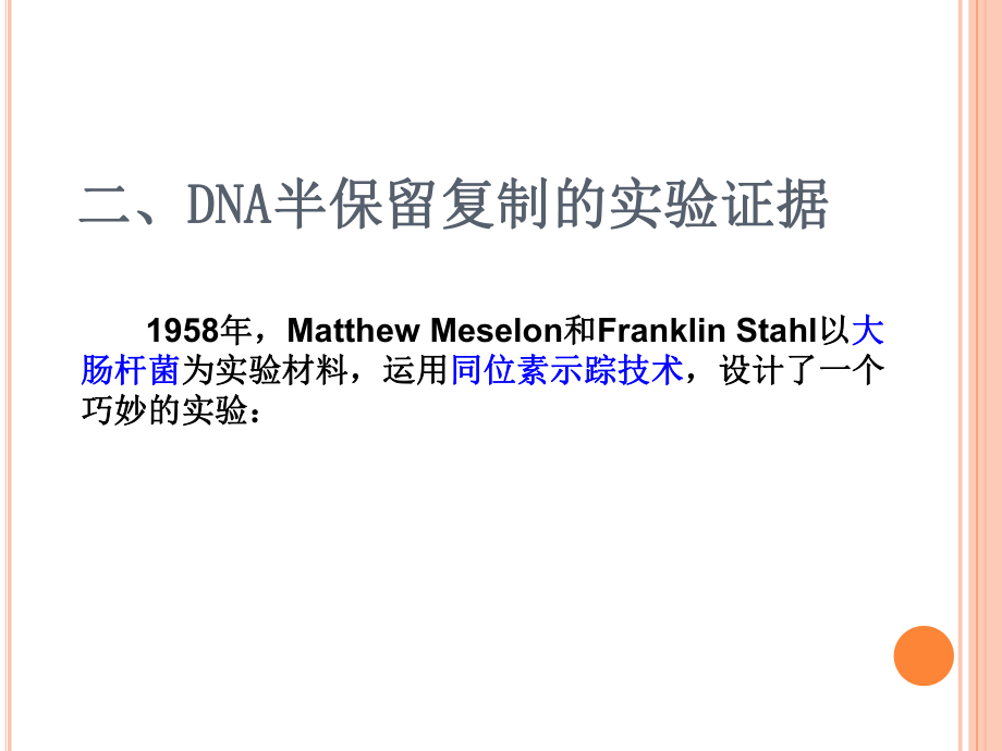 第三节DNA的复制精品教育.ppt_第3页