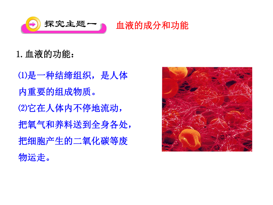 第一节血液和血型(第一课时)精品教育.ppt_第3页