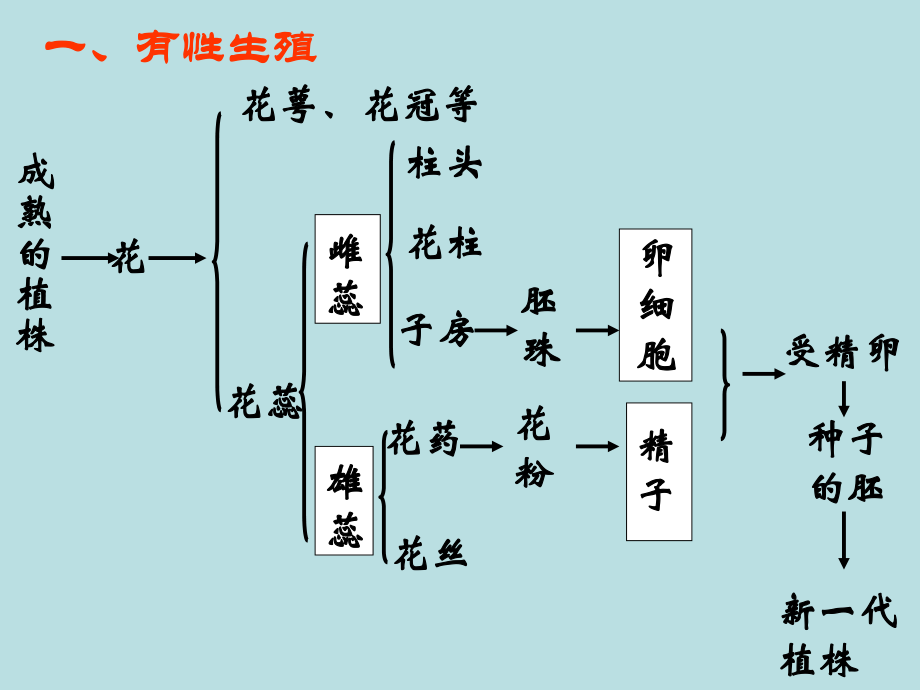 第七单元第一章第一节植物的生殖精品教育.ppt_第3页