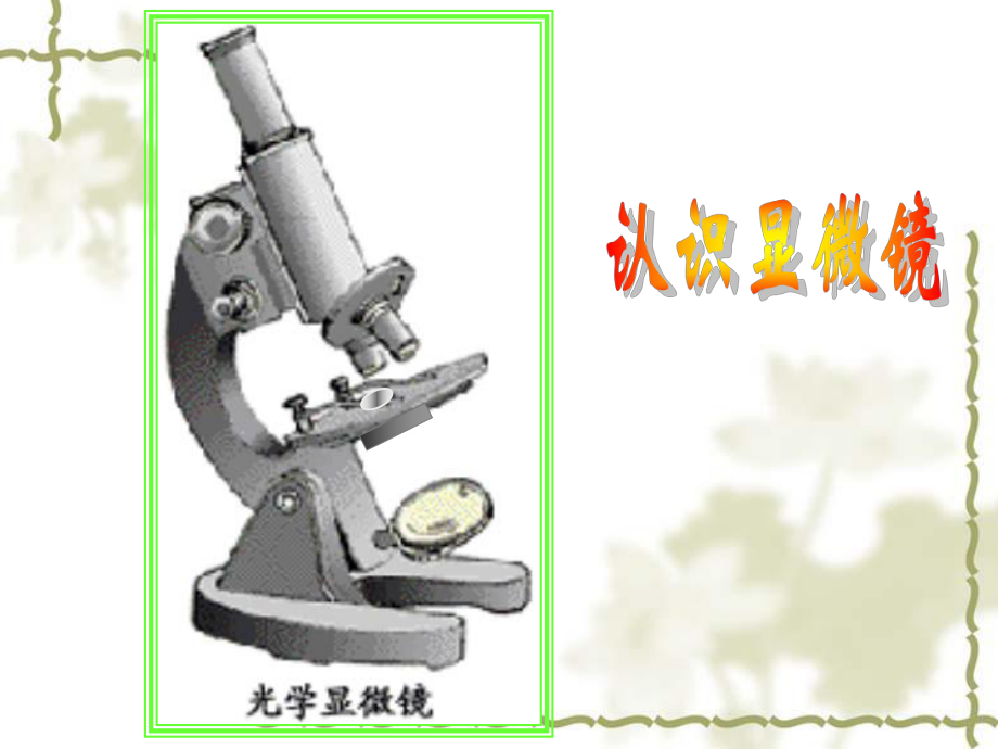 第一节练习使用显微镜PPT课件精品教育.ppt_第3页