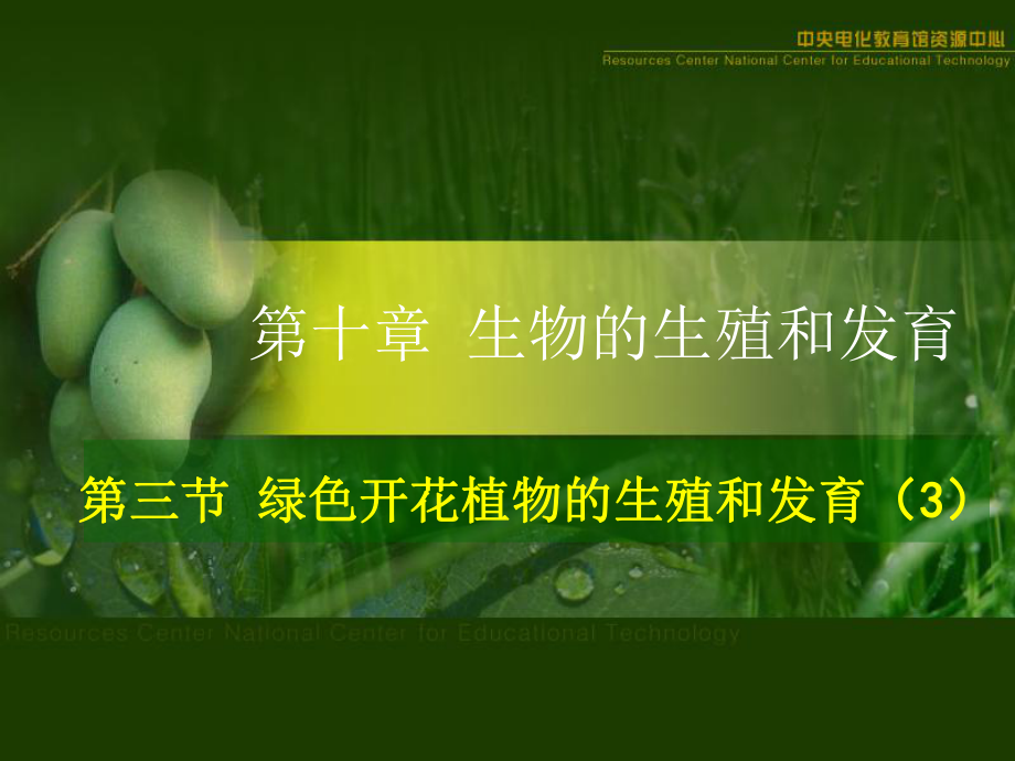 第一节植物的生长和发育第一课时11月5日精品教育.ppt_第2页