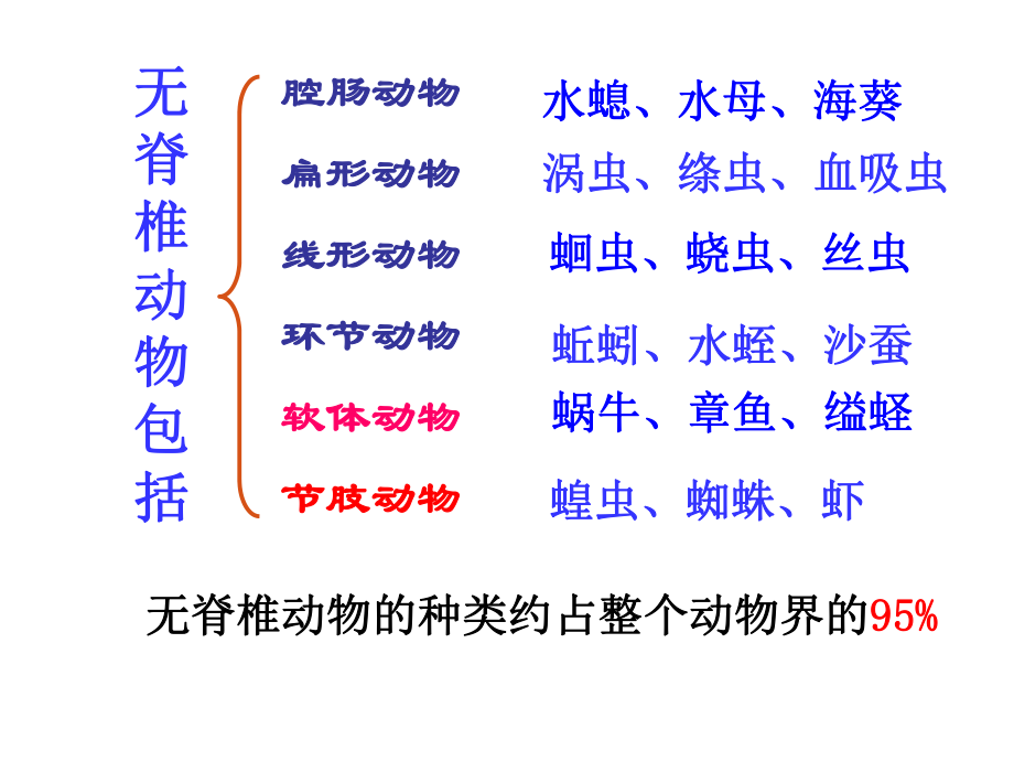 第一章动物的主要类群复习39PPT精品教育.ppt_第2页