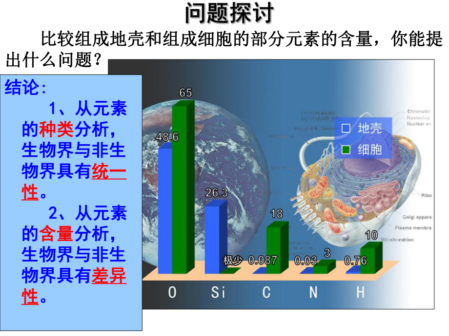 第一节细胞中的化合物精品教育.ppt_第3页