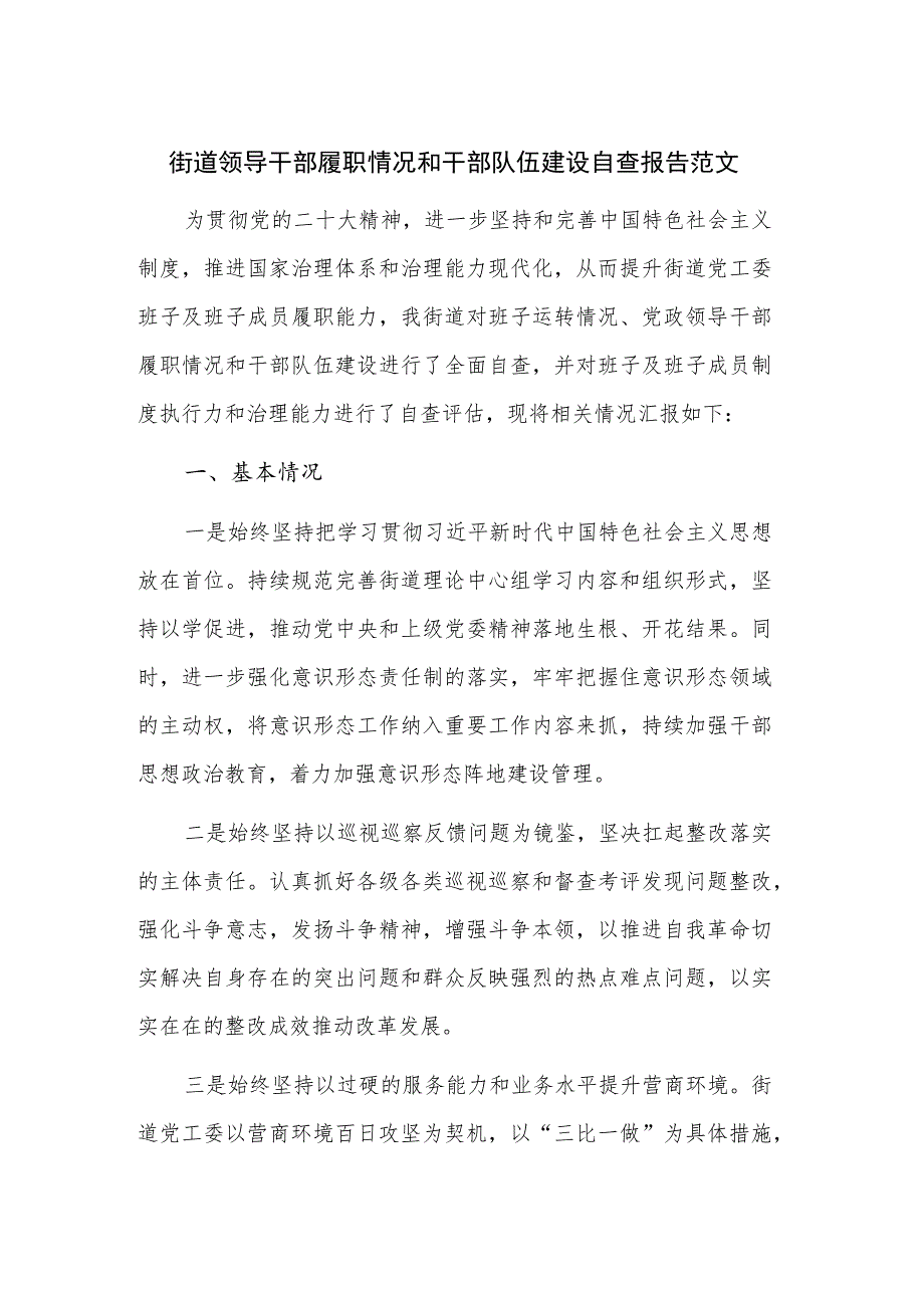 街道领导干部履职情况和干部队伍建设自查报告范文.docx_第1页