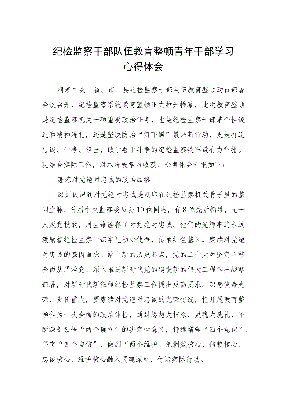 纪检监察干部队伍教育整顿青年干部学习心得体会（3篇）范本.docx_第1页