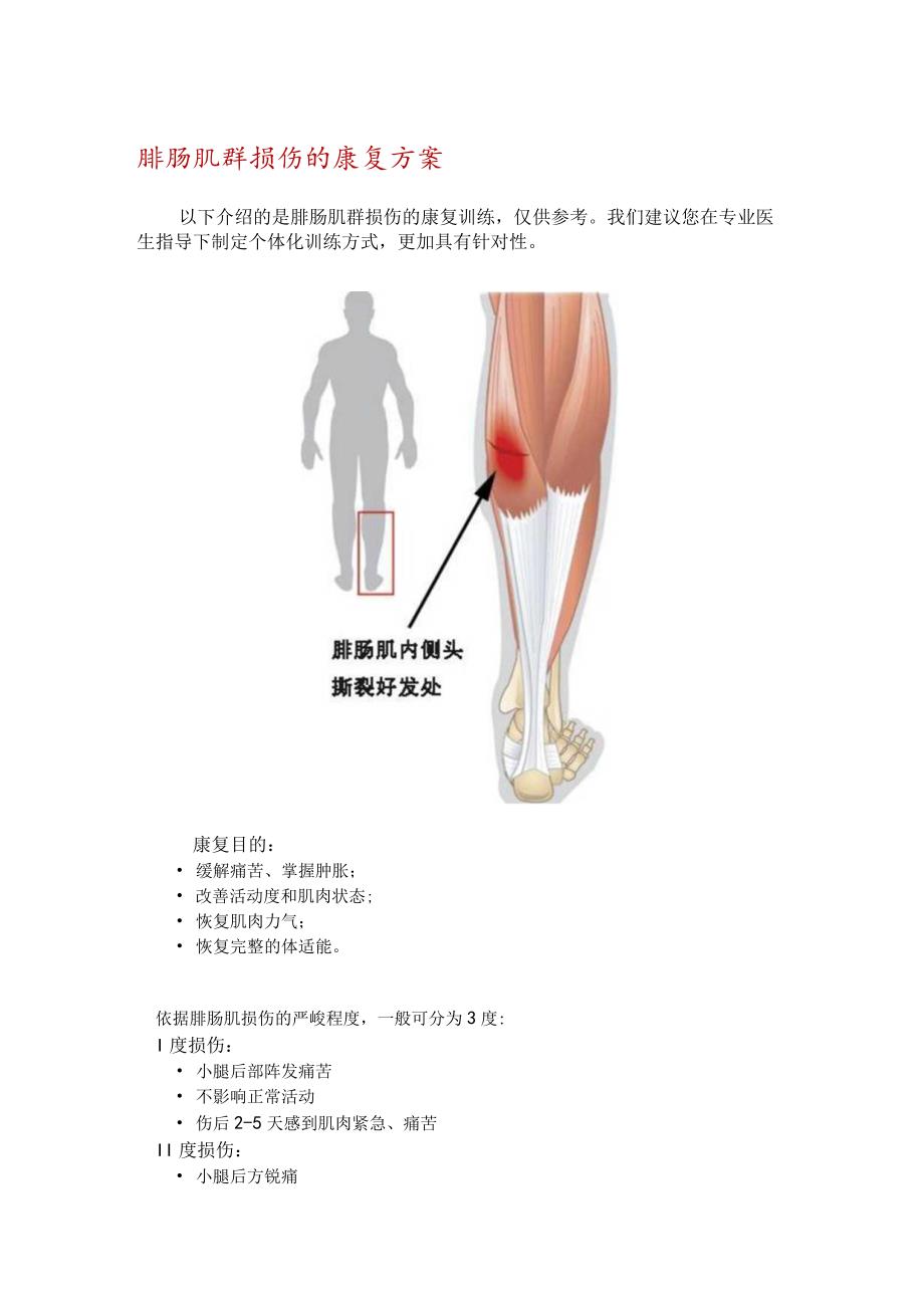 腓肠肌群损伤的康复方案.docx_第1页