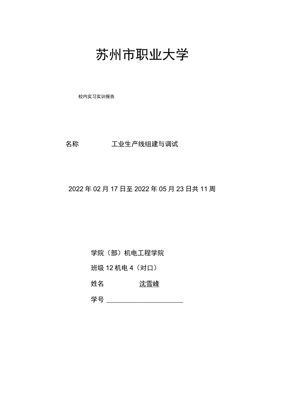 生产线报告.docx_第1页