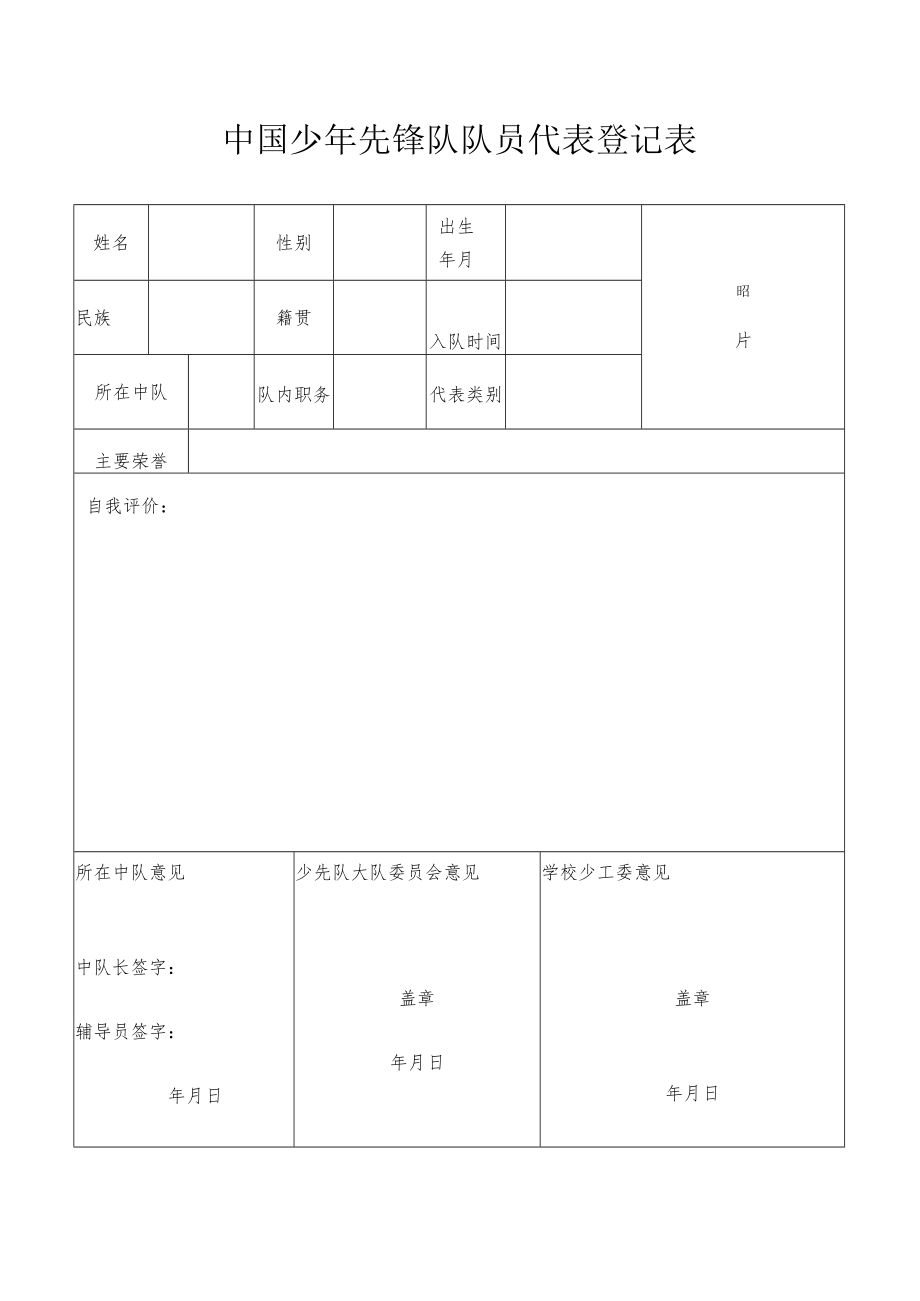 中国少年先锋队队员代表登记表.docx_第1页