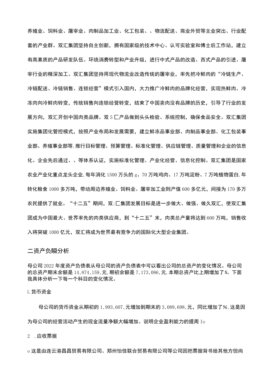 双汇集团财务报表分析.docx_第3页