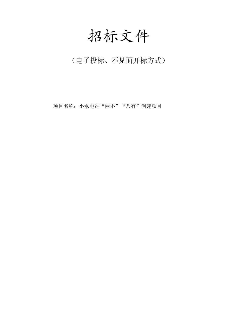 小水电站“两不”“八有”创建项目招标文件.docx_第1页