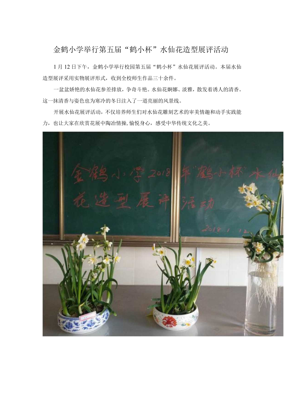 金鹤小学举行第五届“鹤小杯”水仙花造型展评活动.docx_第1页