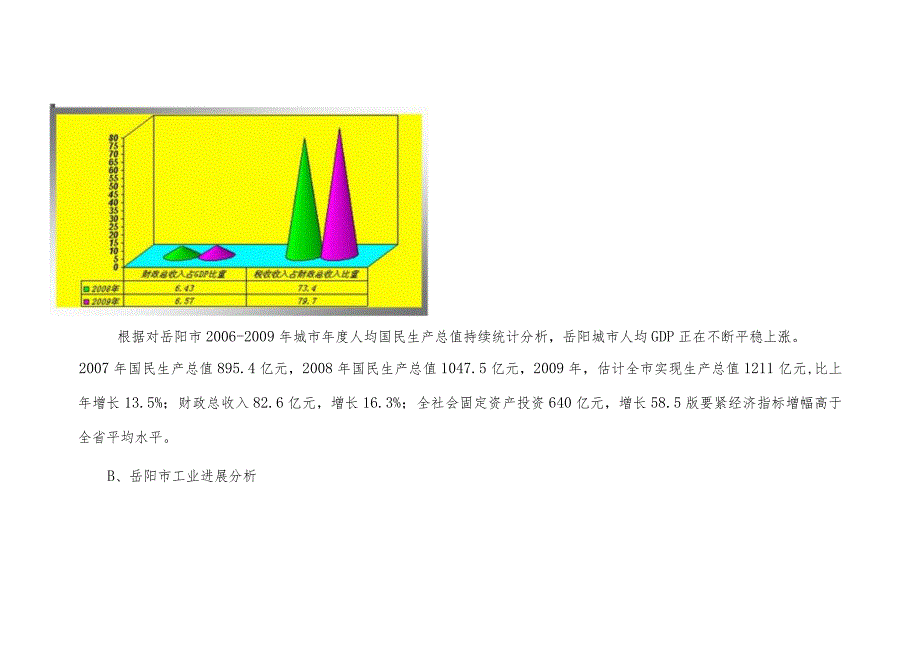 岳阳项目市场报告XXdoc.docx_第3页