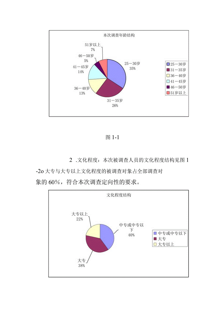 广告投放市场效果评估报告.docx_第2页