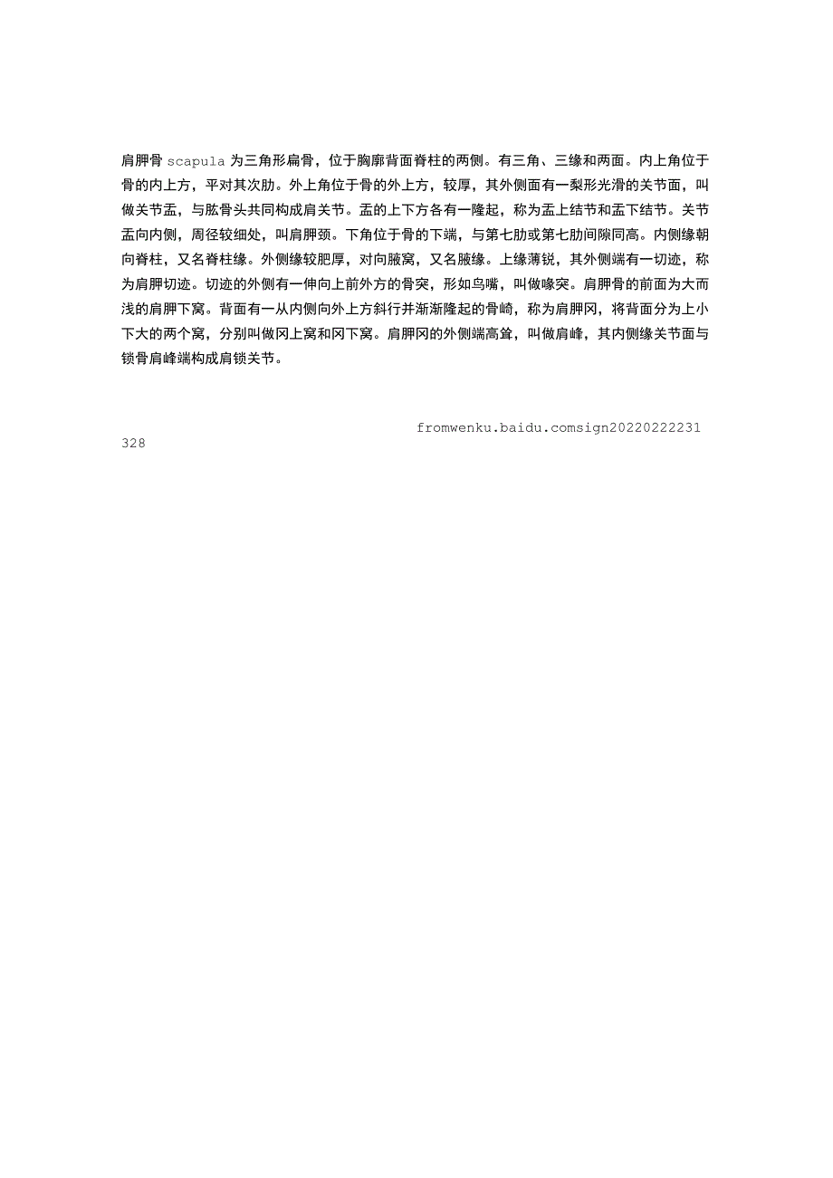 肩胛骨的结构与解剖简述.docx_第1页