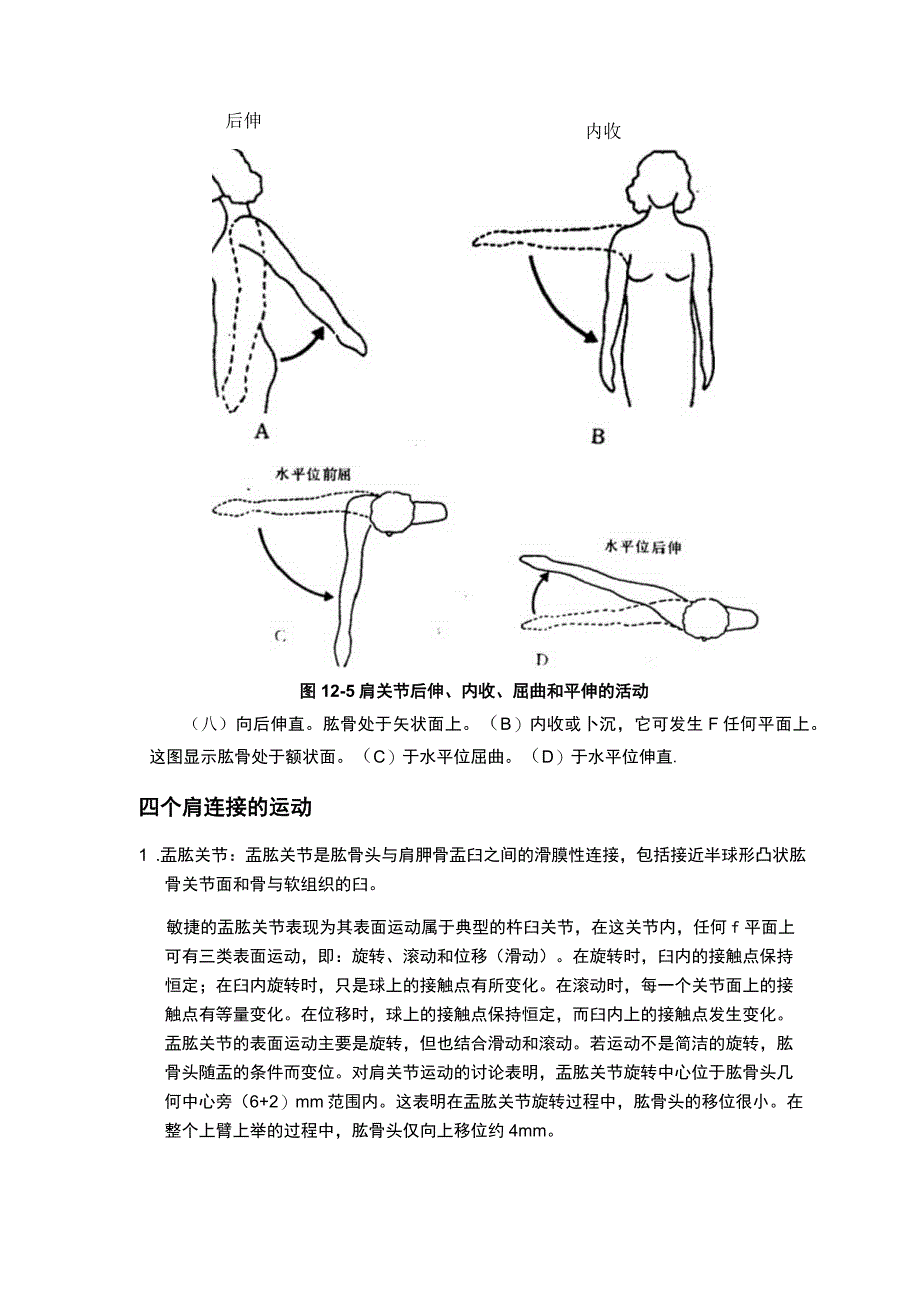 肩关节力学分析.docx_第3页