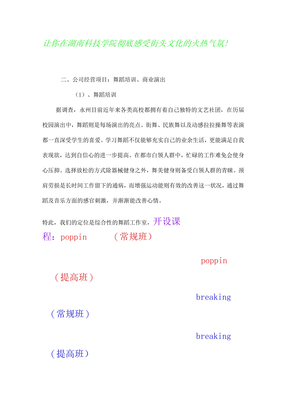 舞蹈工作室创业计划书.docx_第2页