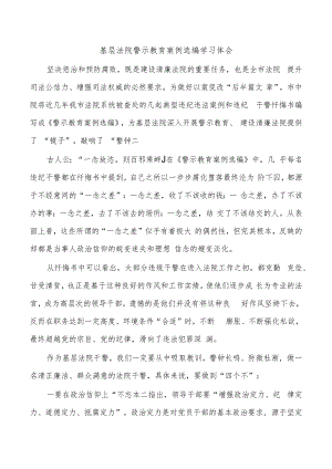 基层法院警示教育案例选编学习体会.docx