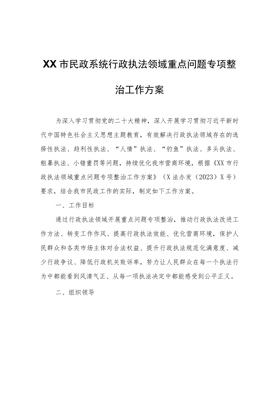 XX市民政系统行政执法领域重点问题专项整治工作方案.docx_第1页