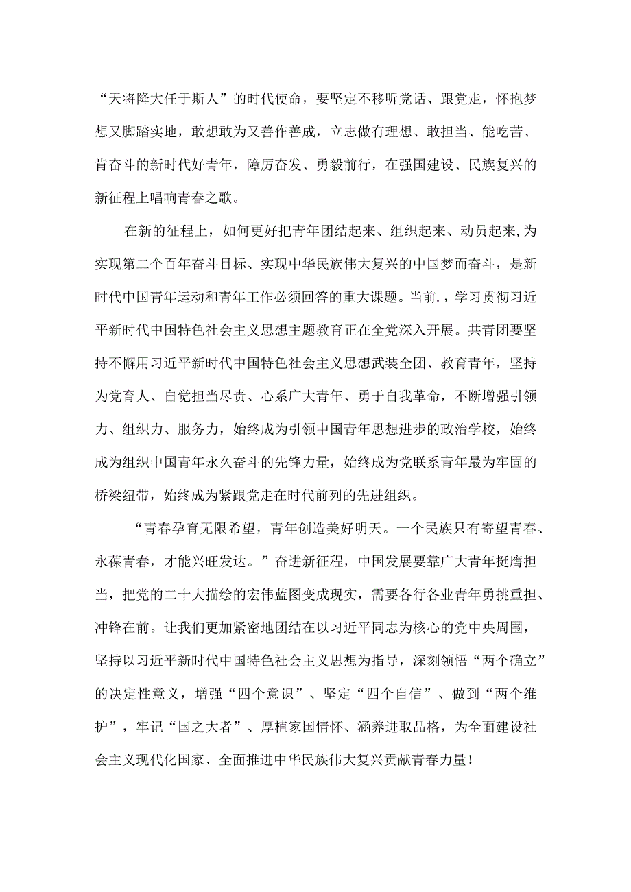 学习共青团第十九次全国代表大会心得体会.docx_第3页