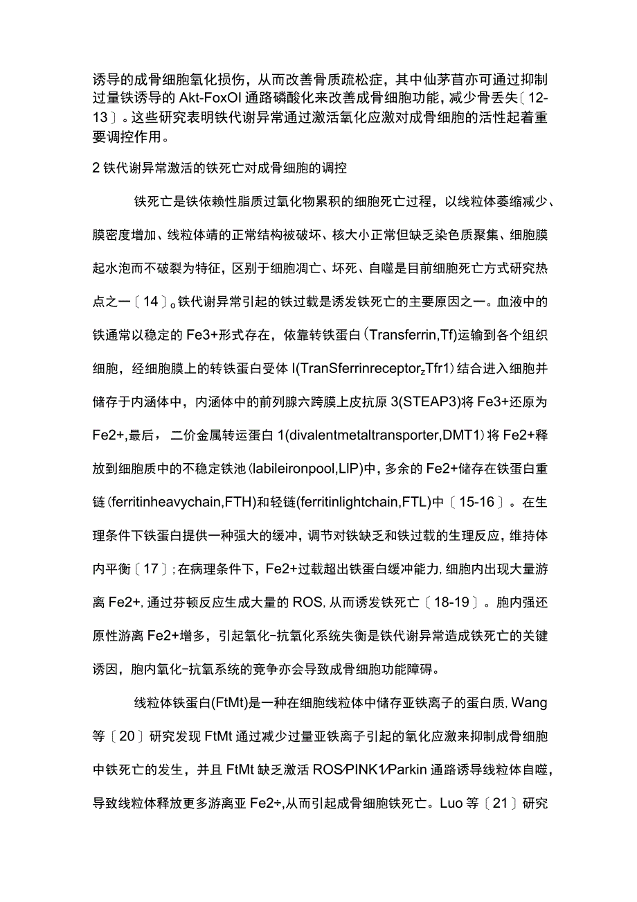 2023成骨细胞铁代谢异常的研究进展.docx_第3页