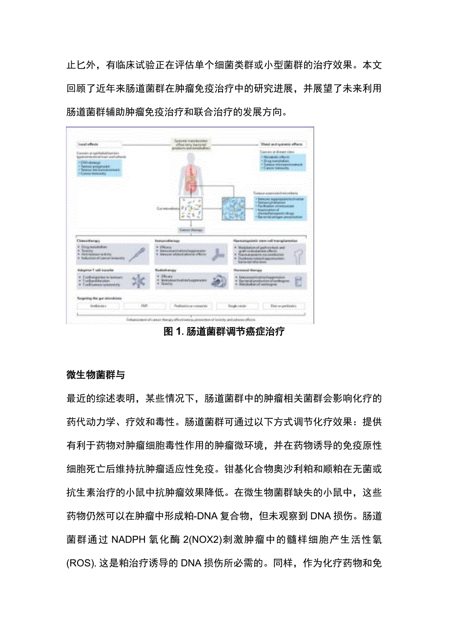 2023肿瘤治疗新靶点：肠道菌群.docx_第2页