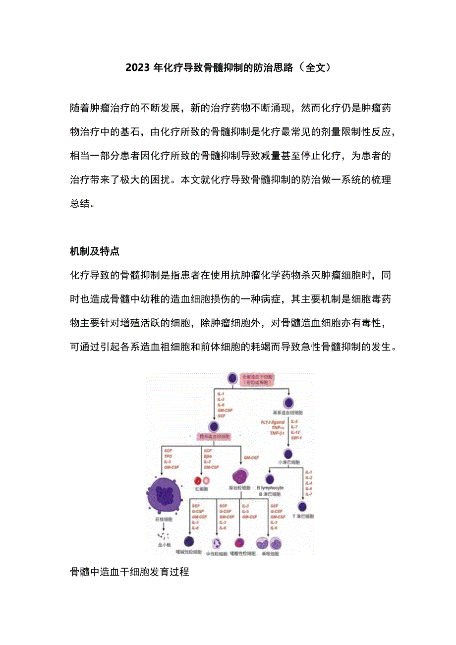 2023年化疗导致骨髓抑制的防治思路（全文）.docx_第1页