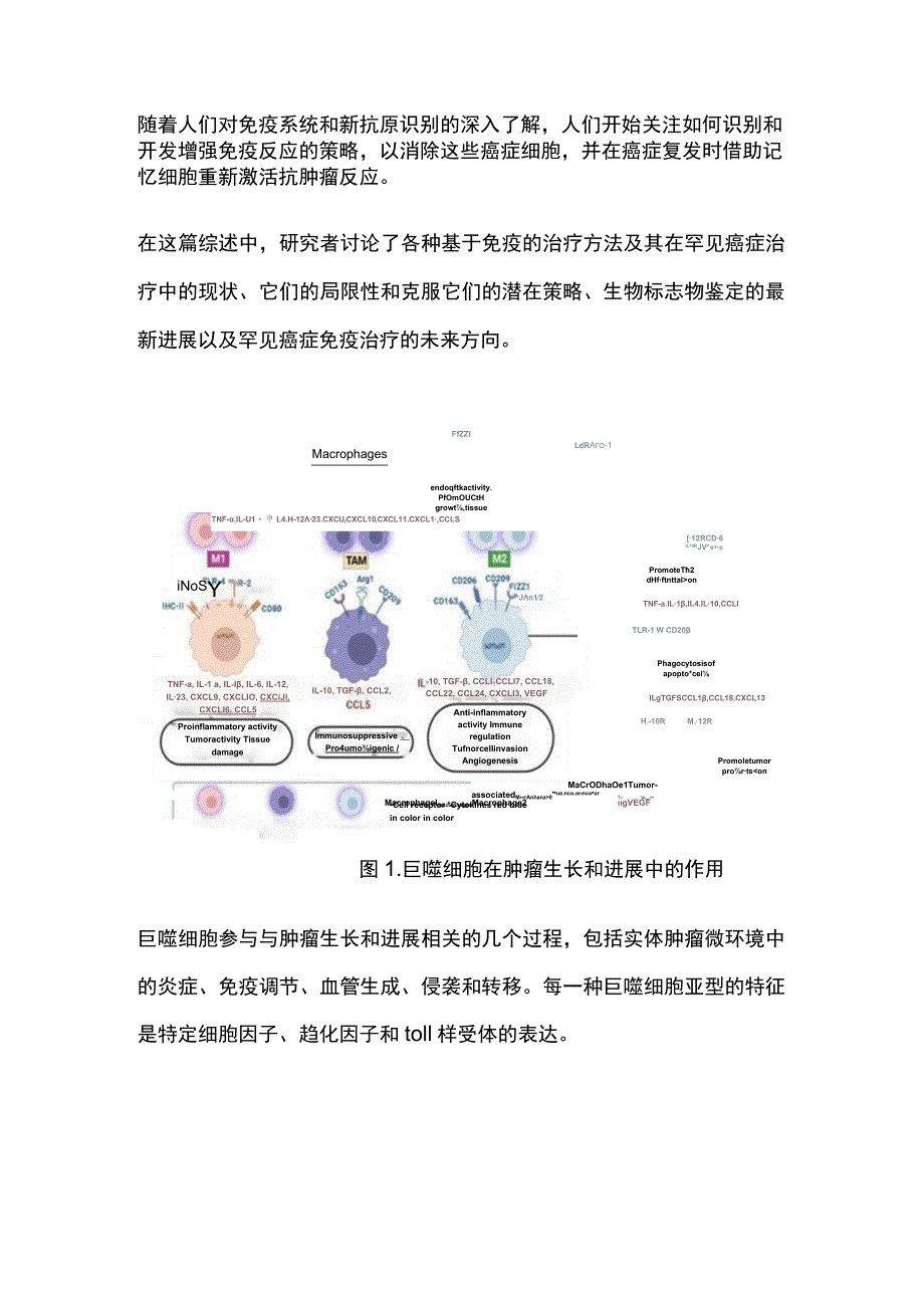 2023罕见肿瘤的免疫治疗.docx_第3页