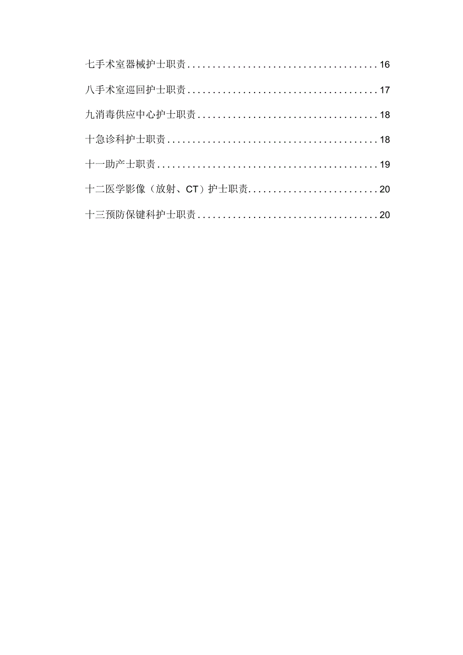 各级护士的岗位职责.docx_第2页