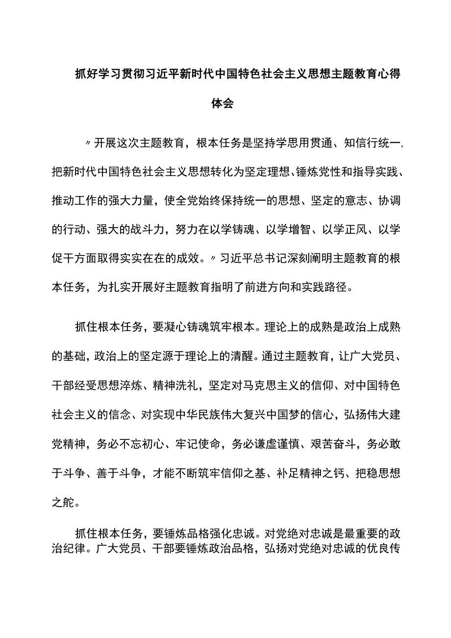 2023年抓好学习贯彻新时代中国特色社会主义思想主题教育心得体会.docx_第1页