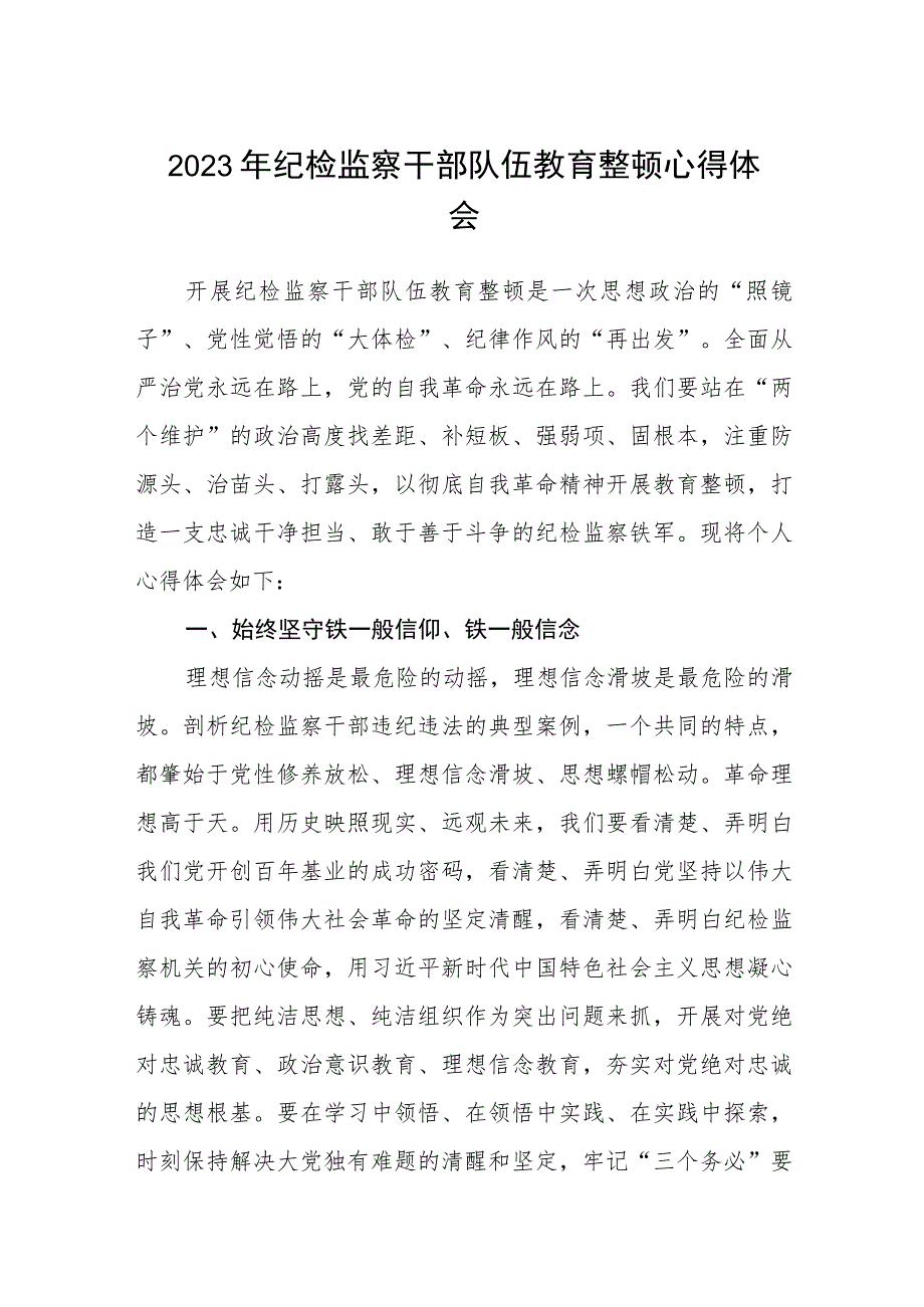 2023年纪检监察干部队伍教育整顿心得体会范文(参考三篇).docx_第1页