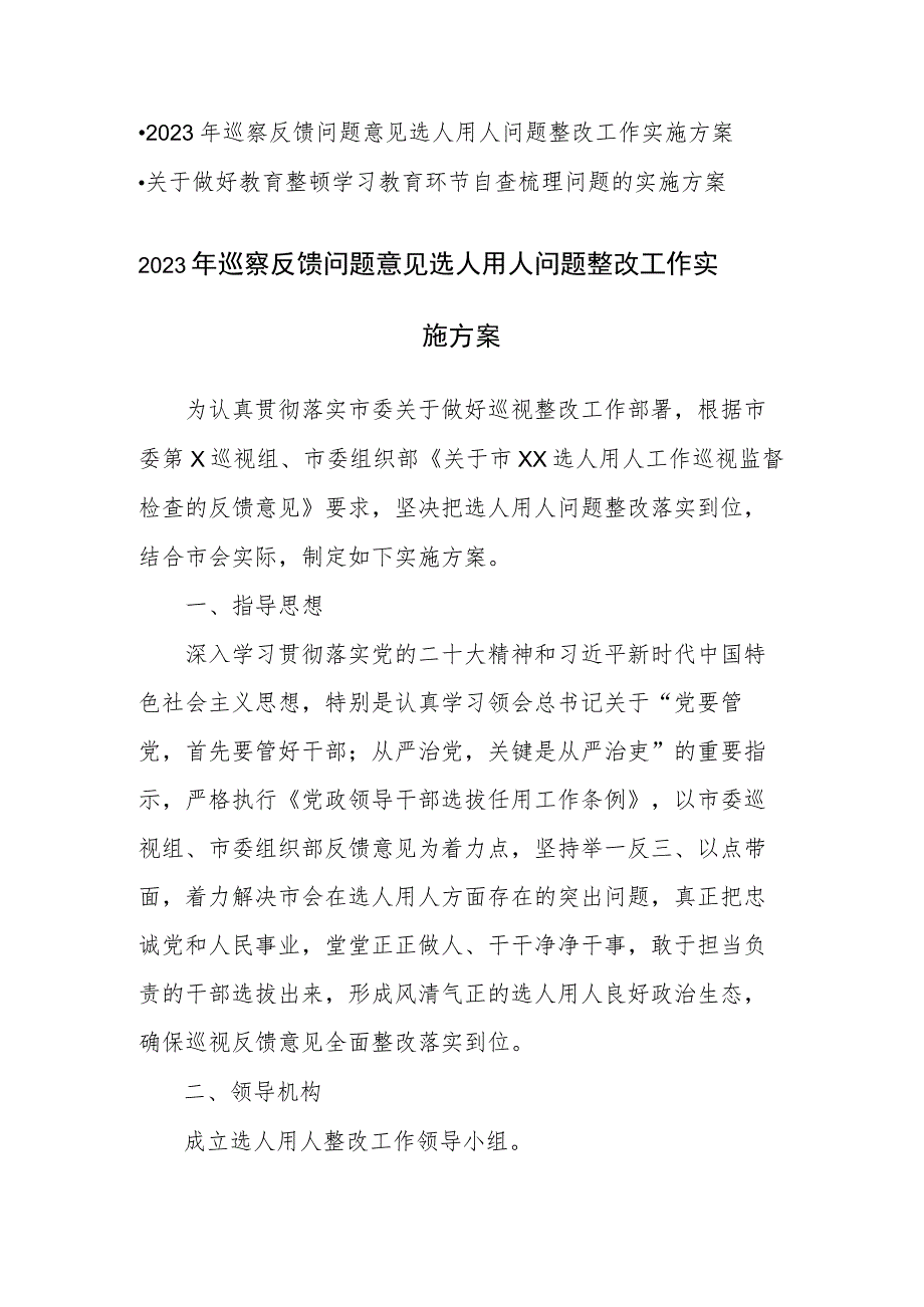 2023年巡察反馈问题意见选人用人问题整改工作实施方案.docx_第1页