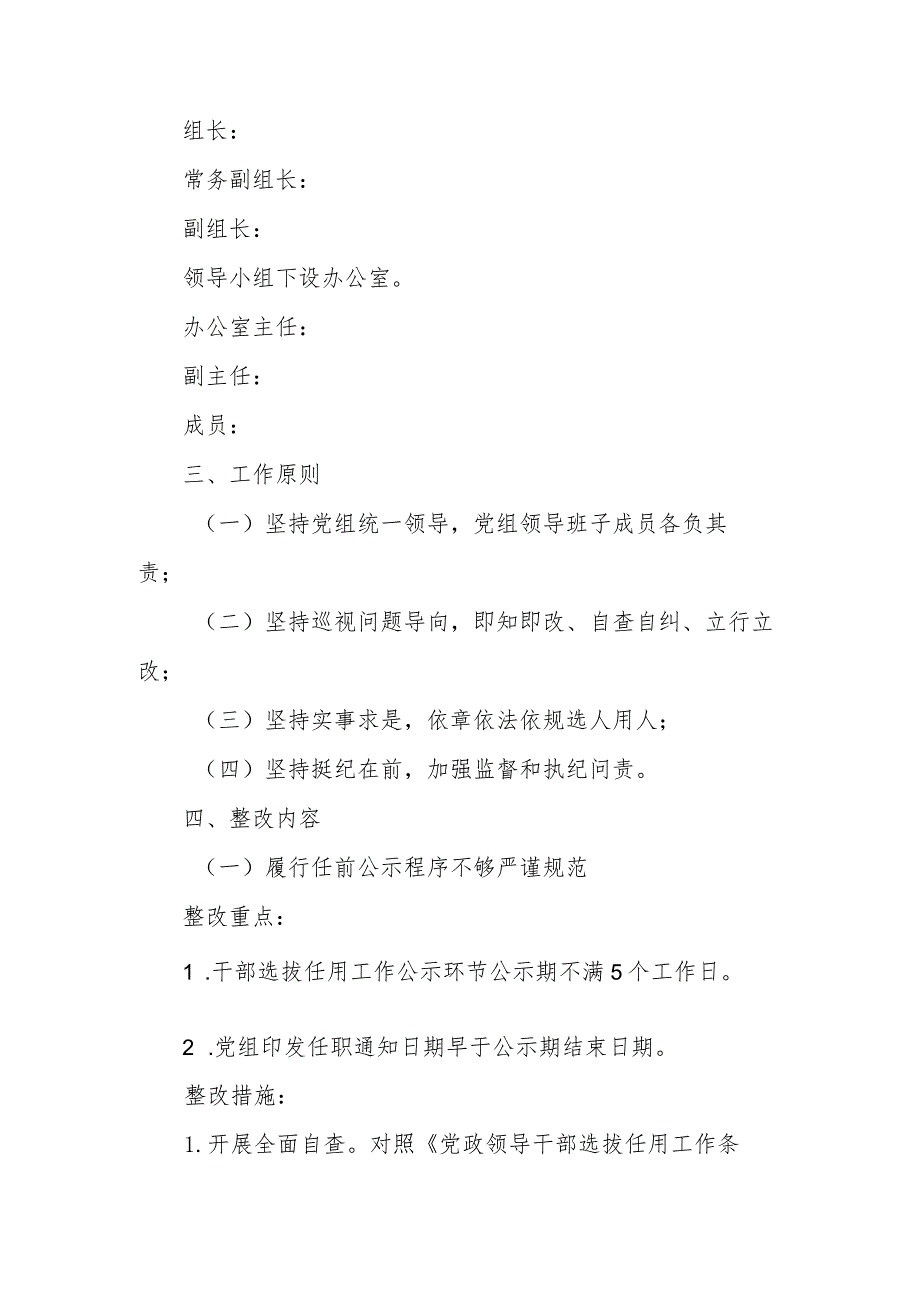 2023年巡察反馈问题意见选人用人问题整改工作实施方案.docx_第2页