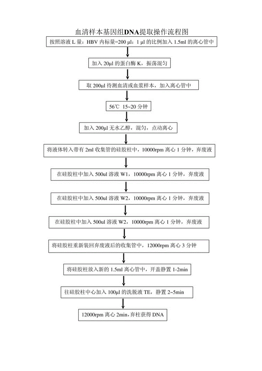 血清样本基因组DNA提取操作流程图.docx_第1页