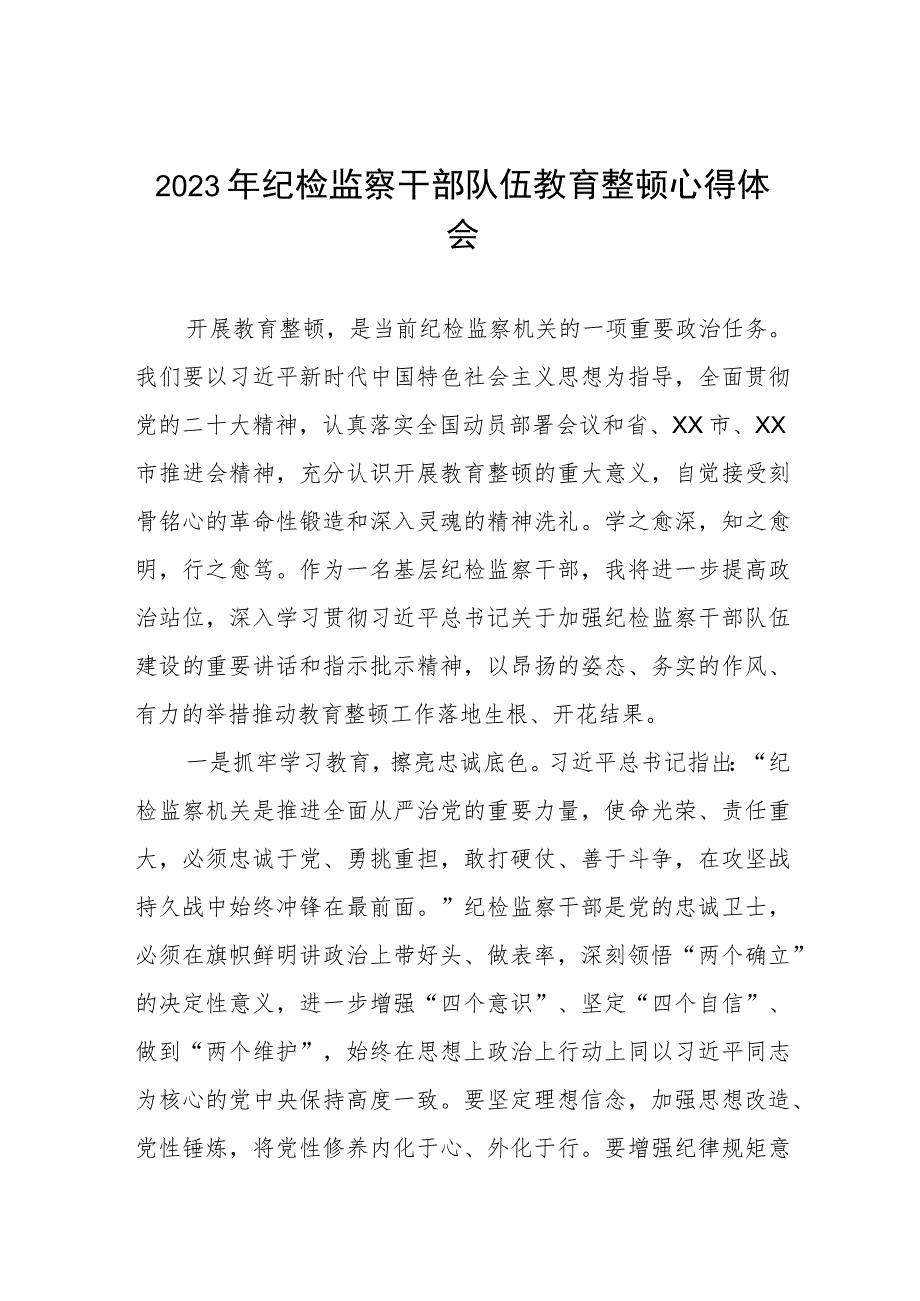 2023纪检监察干部队伍教育整顿活动心得体会材料七篇.docx_第1页