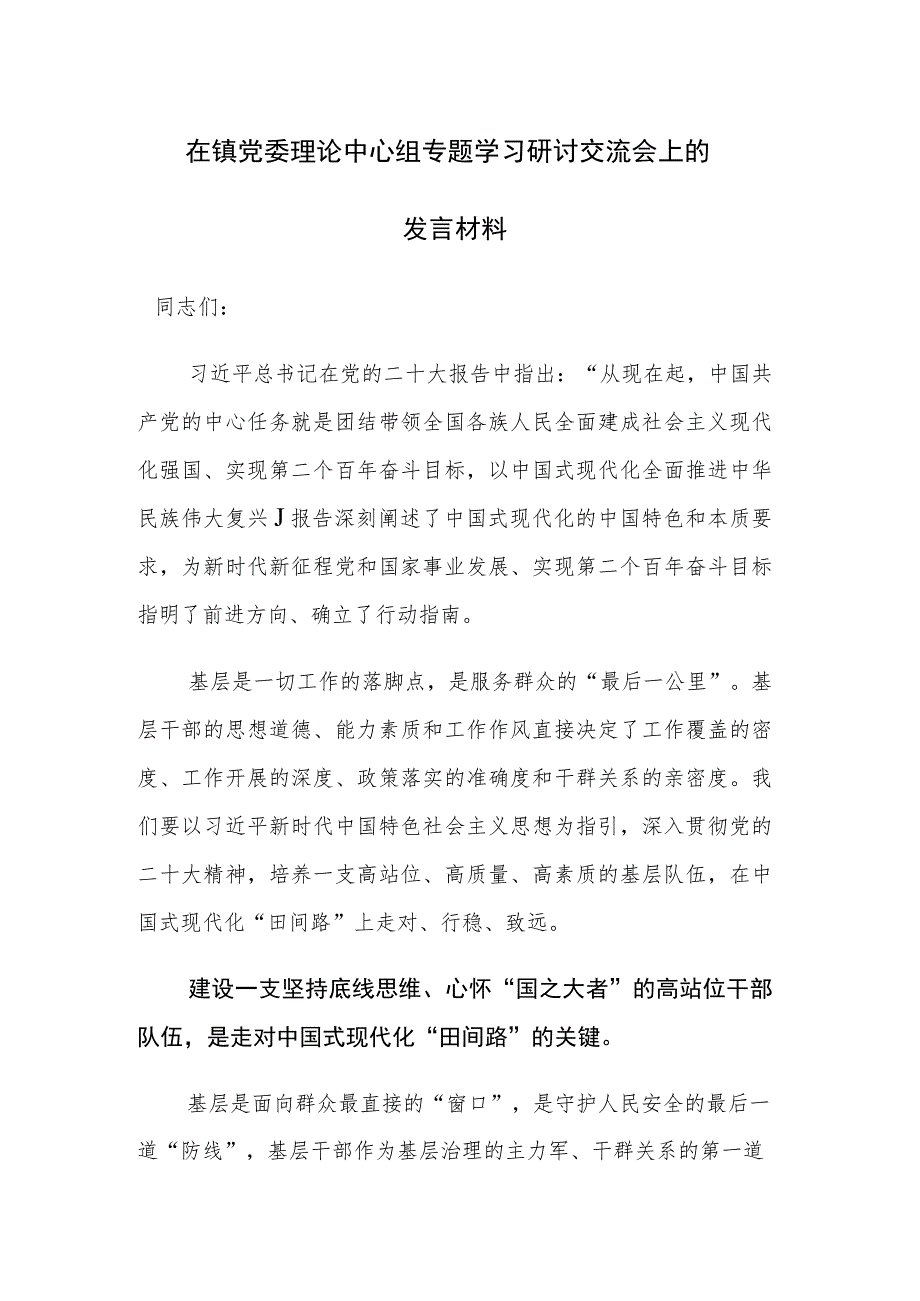 党组织2023年专题学习研讨交流会上的发言材料范文2篇.docx_第1页