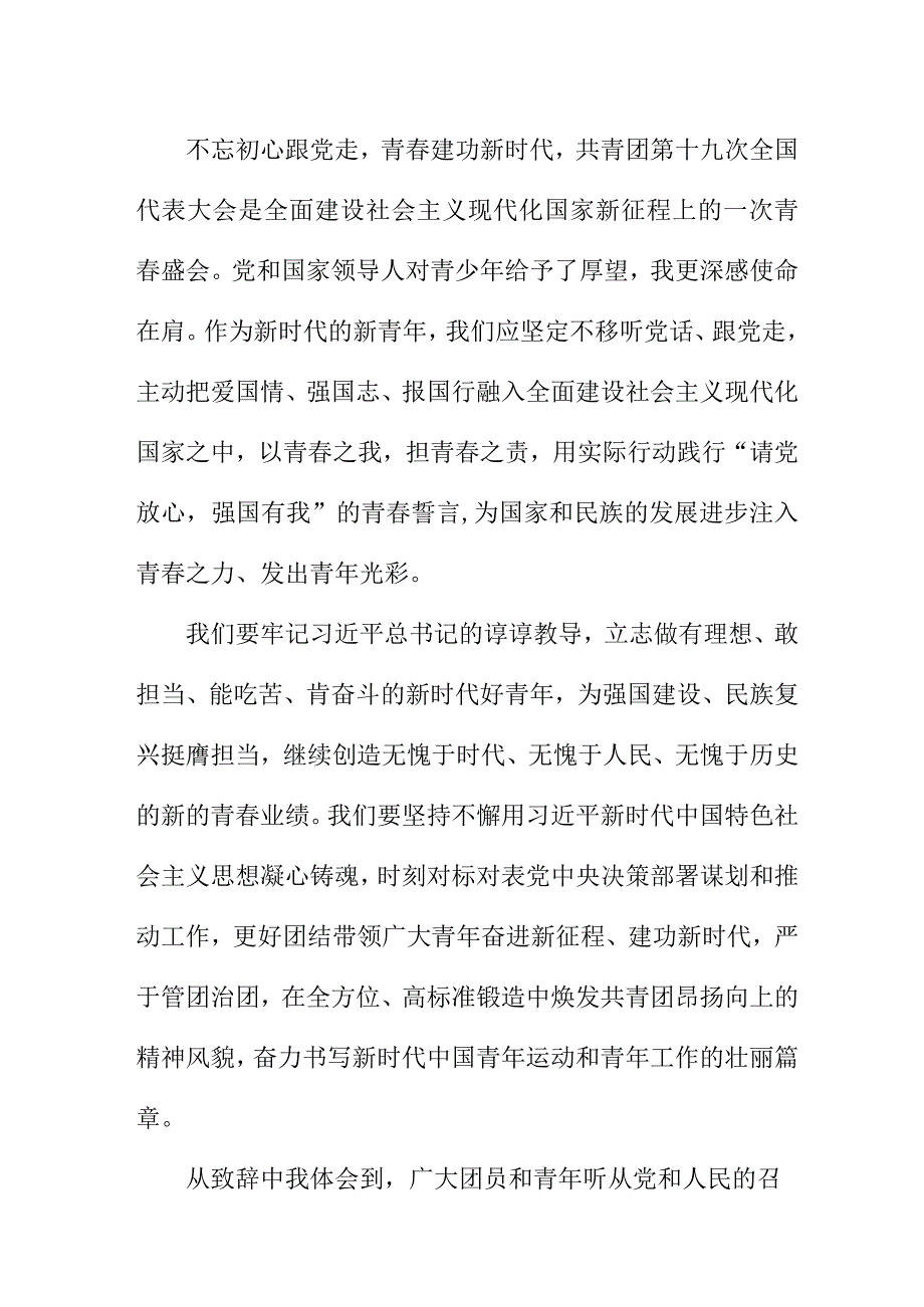 驻村书记学习贯彻共青团第十九次全国代表大会精神个人心得体会 （5份）.docx_第2页