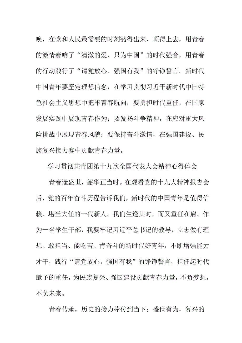 驻村书记学习贯彻共青团第十九次全国代表大会精神个人心得体会 （5份）.docx_第3页