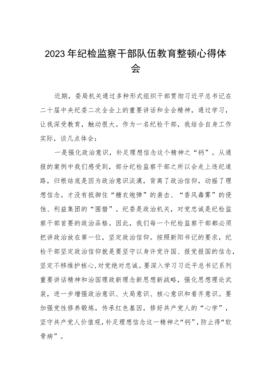 2023年纪检监察干部队伍教育整顿心得体会感悟七篇.docx_第1页