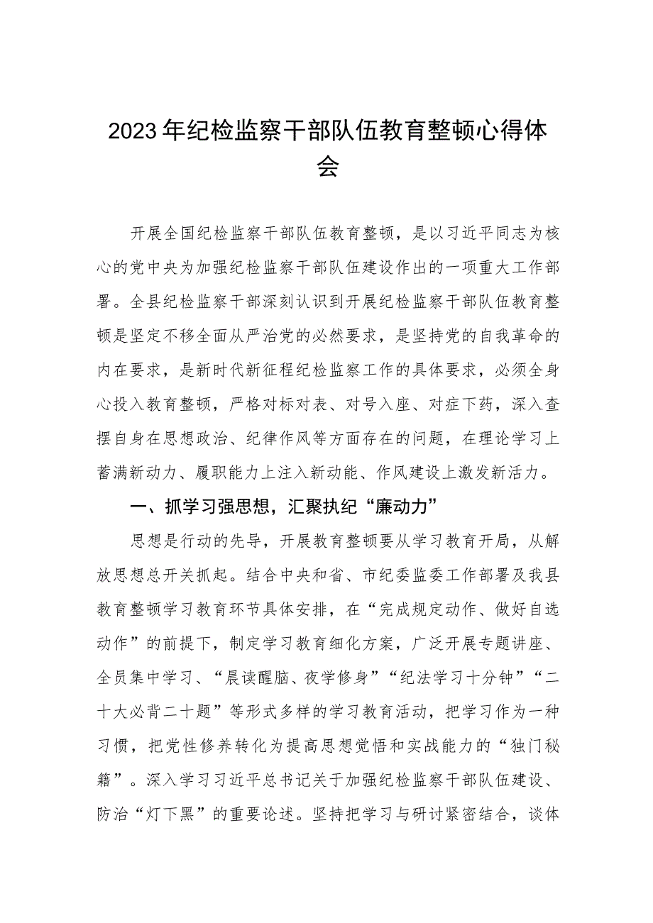 2023纪检监察干部队伍教育整顿心得体会感悟七篇范文.docx_第1页