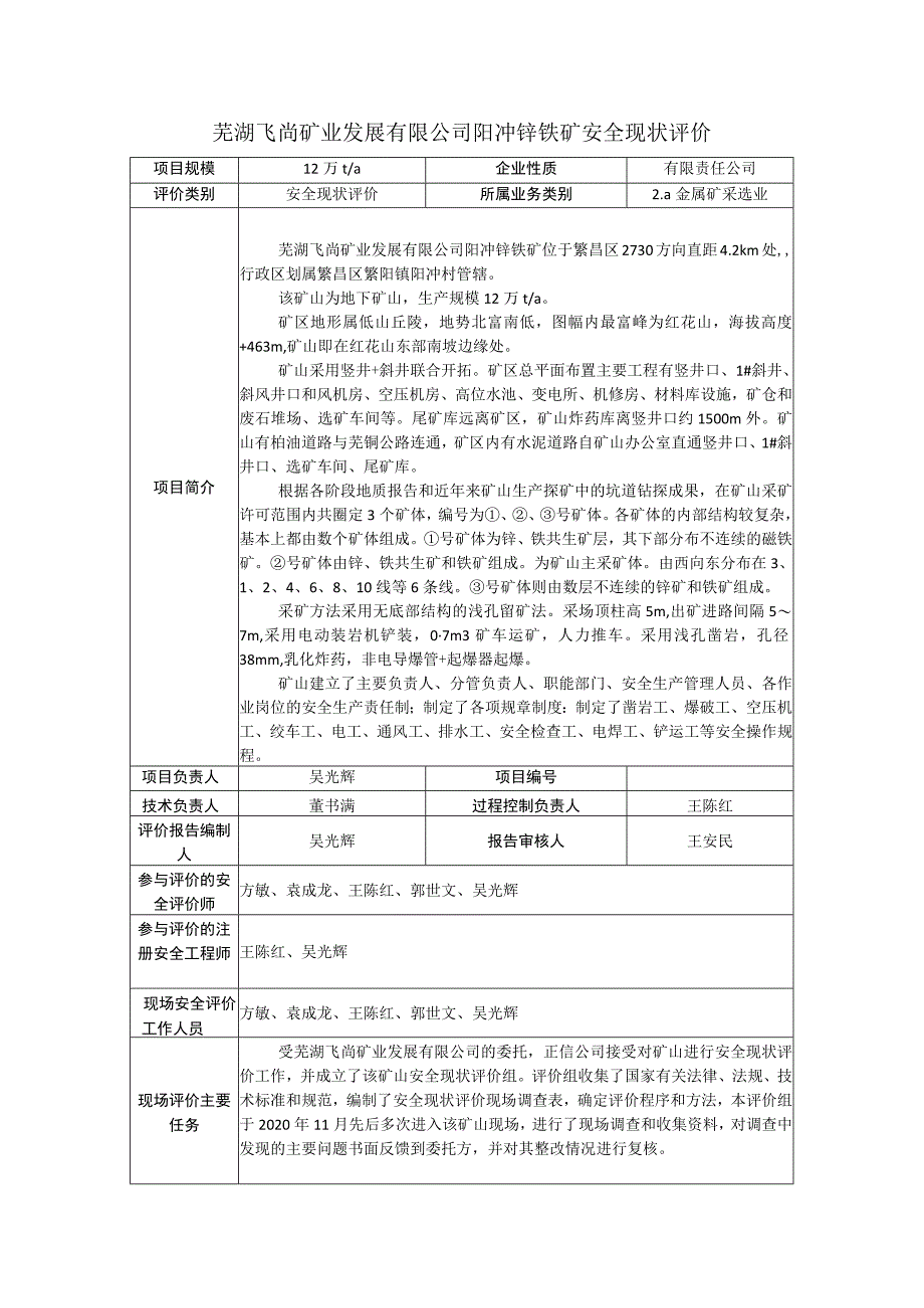 芜湖飞尚矿业发展有限公司阳冲锌铁矿安全现状评价.docx_第1页