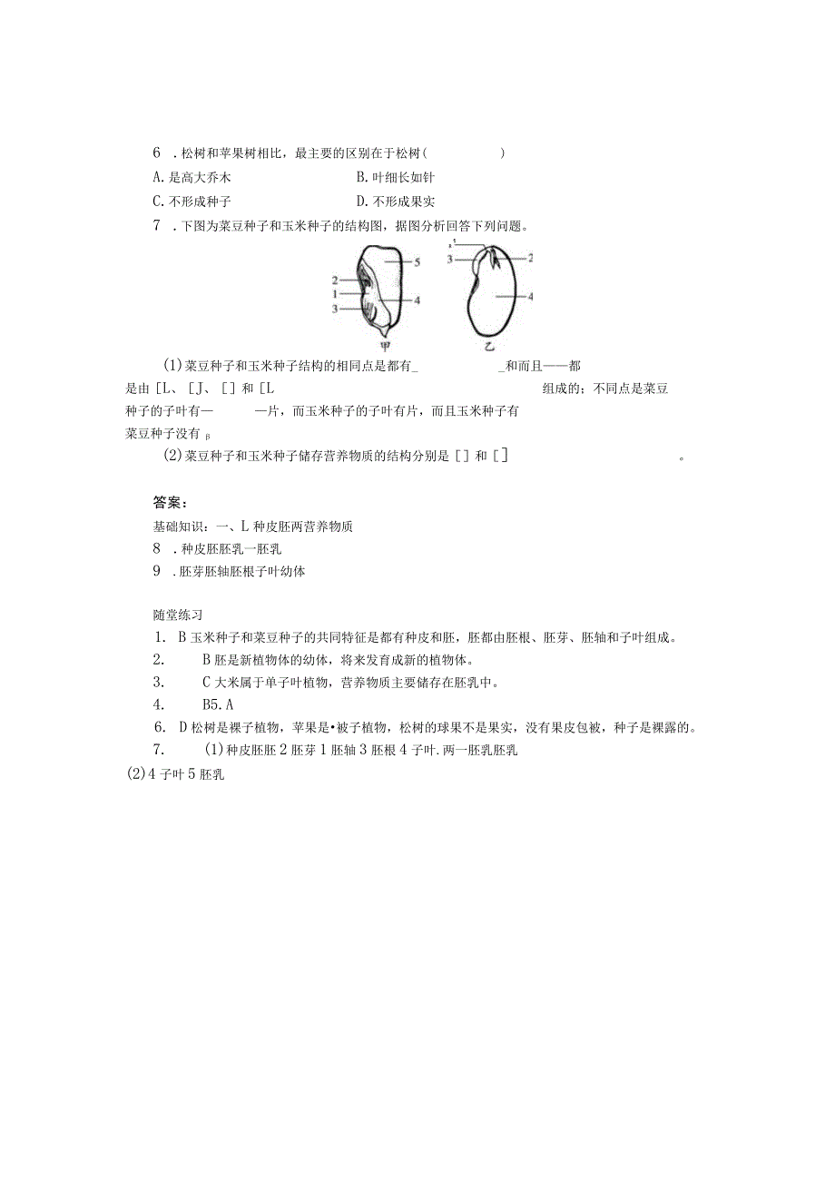 第二节种子植物.docx_第2页