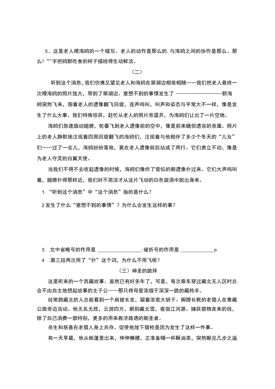 21、老人与海鸥练习题.docx_第3页