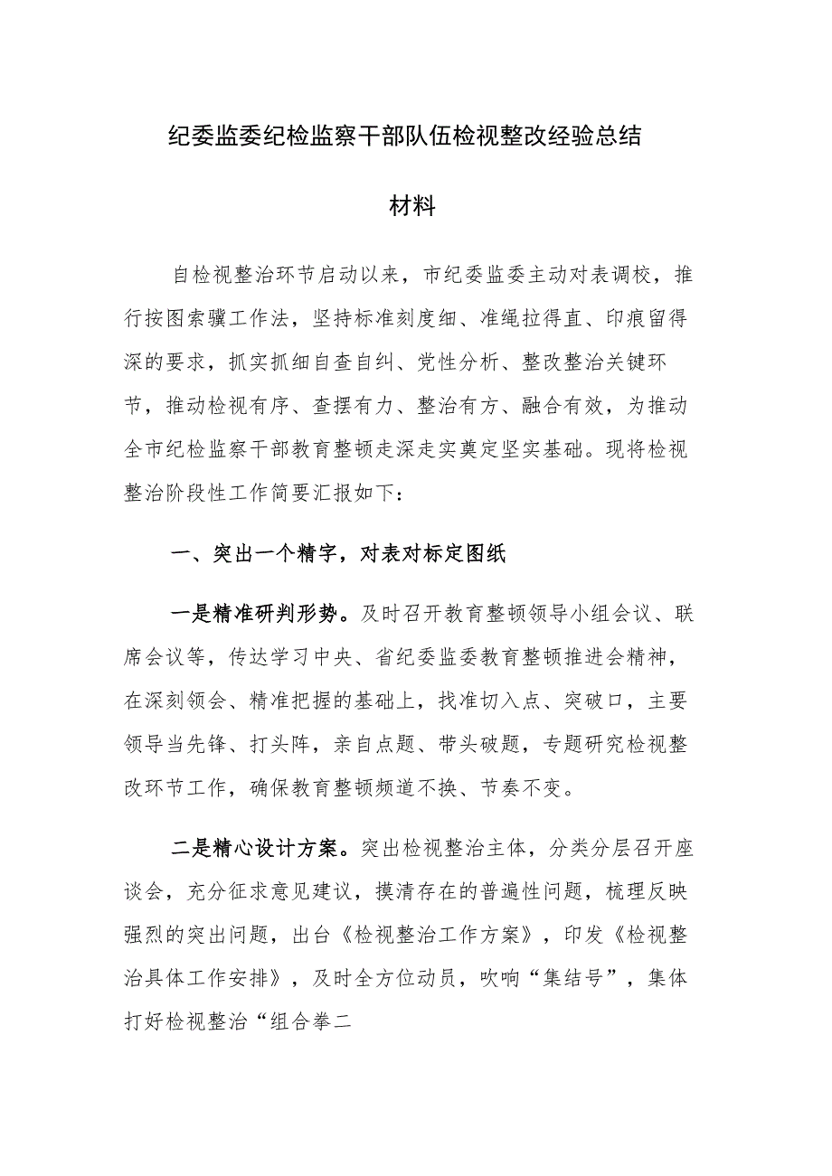 2023年纪委监委纪检监察干部队伍检视整改经验总结材料范文.docx_第1页