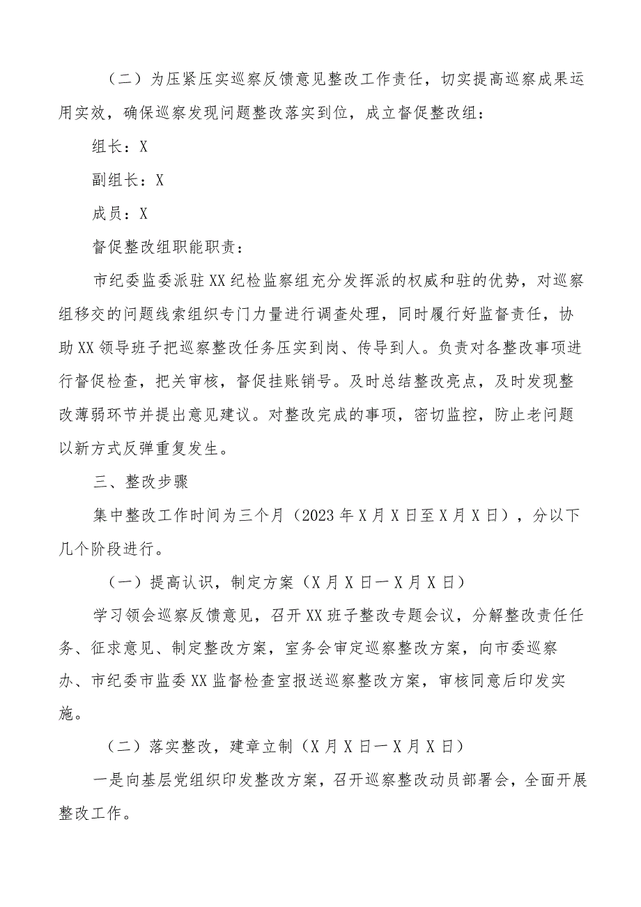 巡察反馈意见整改工作实施方案问题.docx_第3页