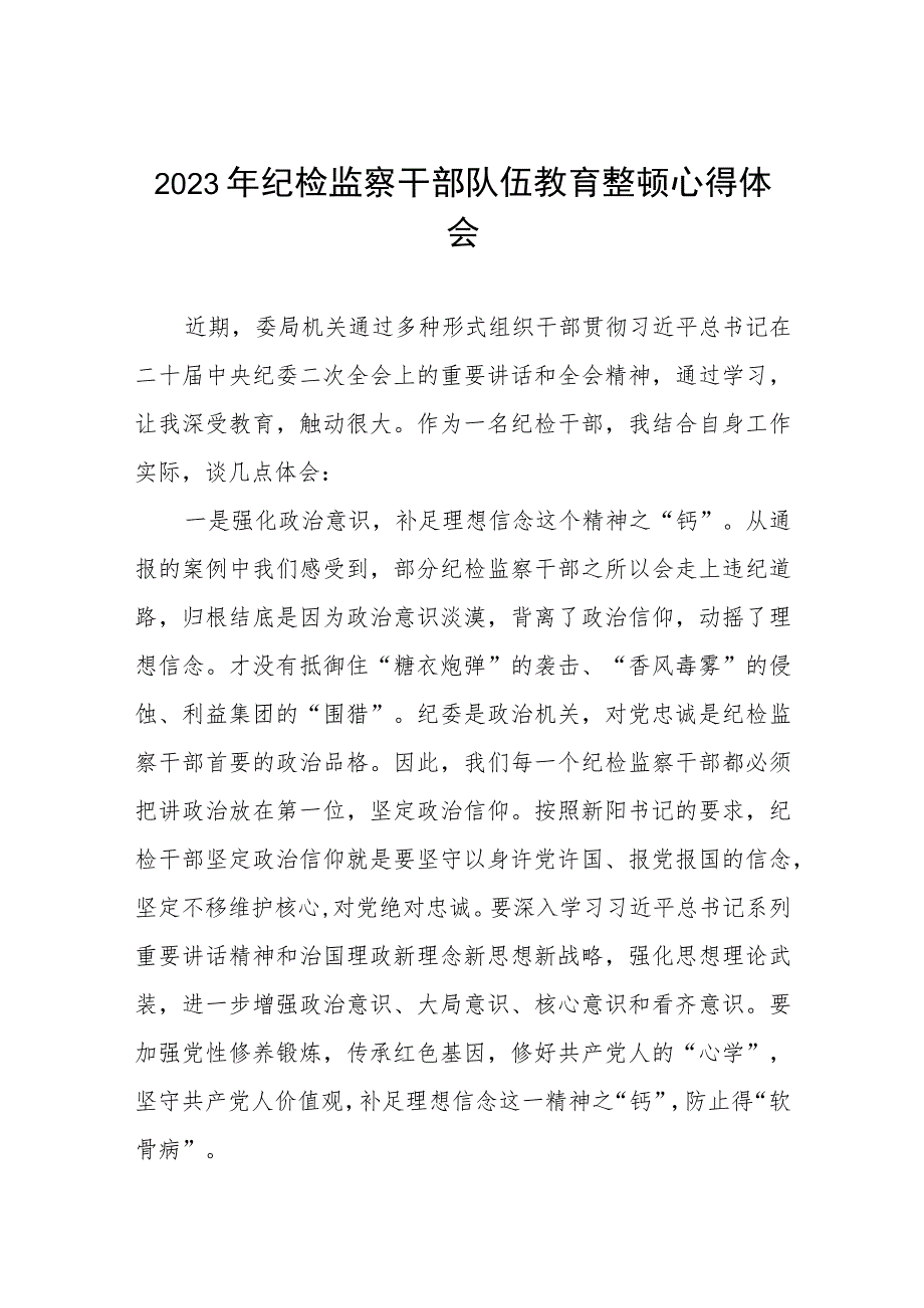 2023纪检监察干部队伍教育整顿活动心得体会发言材料两篇.docx_第1页